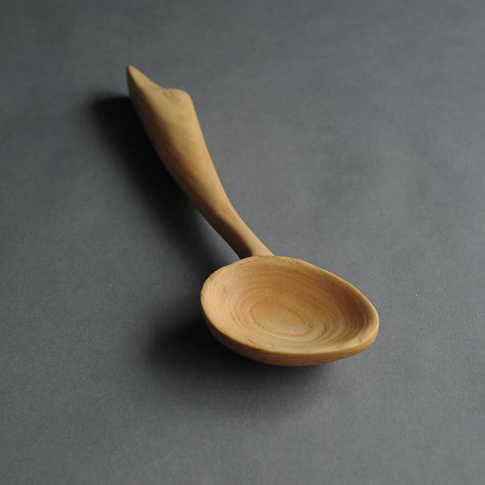 Ladle in Ash