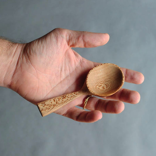 Scoop in Sycamore